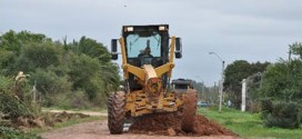 Obras Chico Torino