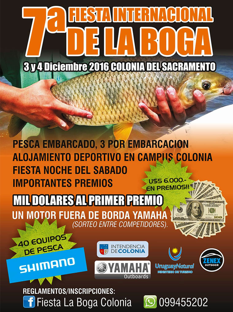 7a-fiesta-internacional-de-la-boga-afiche